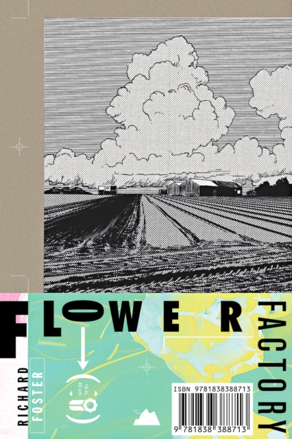 Flower Factory : A Fairy Tale, Paperback / softback Book