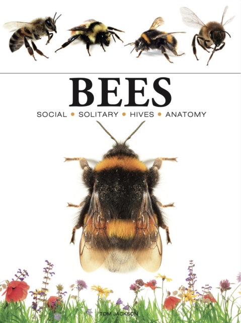 Bees, Paperback / softback Book