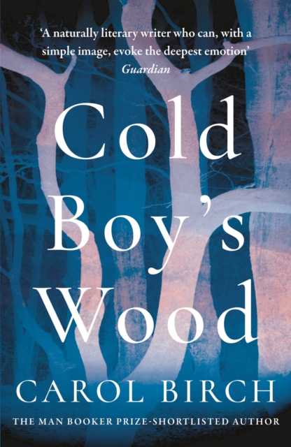 Cold Boy's Wood, Paperback / softback Book