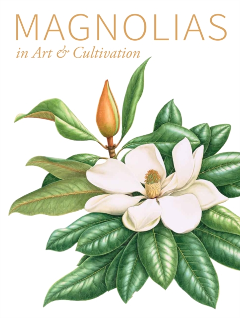 Magnolias, Hardback Book
