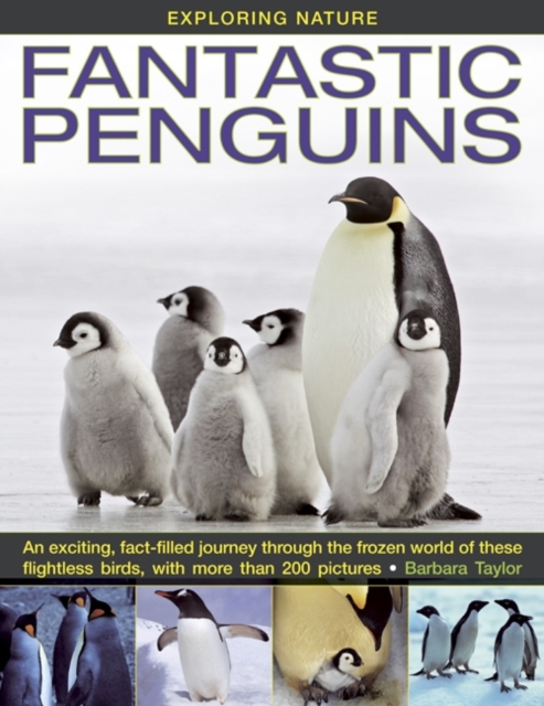 Exploring Nature : Fantastic Penguins: An Exciting, Fact-filled Journey Through the Frozen World of These Flightless Birds, with More Than 200 Pictures, Hardback Book