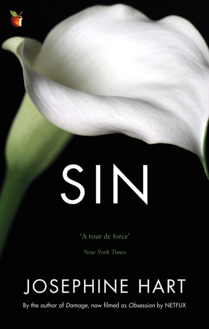 Sin : By the author of DAMAGE, inspiration for the Netflix series OBSESSION, Paperback / softback Book