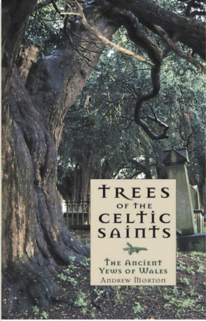 Trees of the Celtic Saints ? The Ancient Yews of Wales, Paperback / softback Book