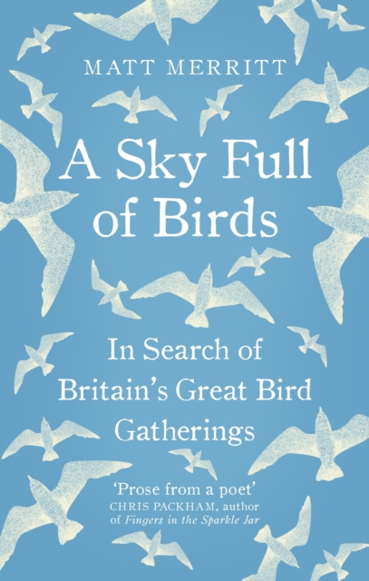 A Sky Full of Birds, Paperback / softback Book