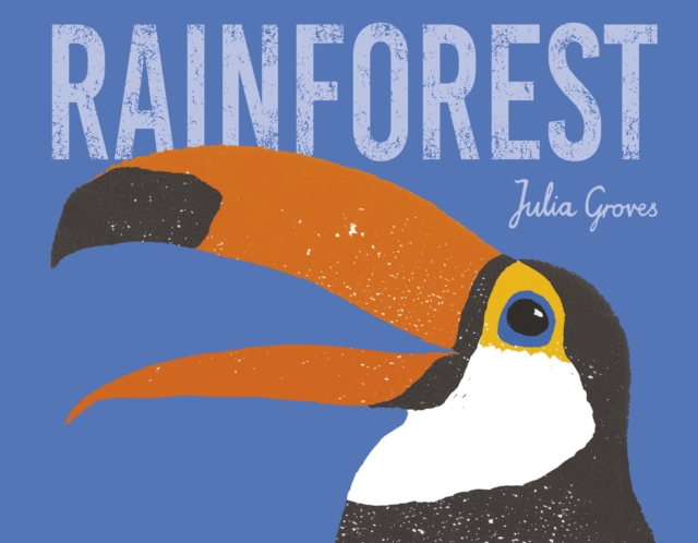Rainforest, Paperback / softback Book