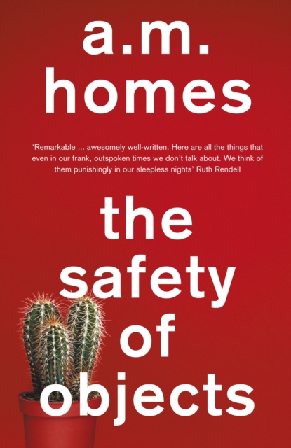 The Safety Of Objects, Paperback / softback Book