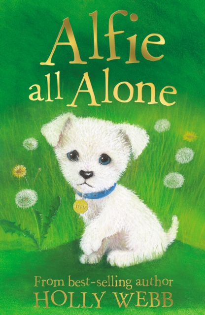 Alfie All Alone, Paperback / softback Book