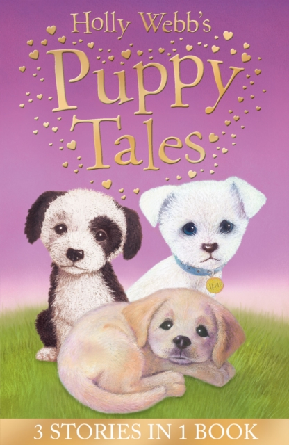 Holly Webb's Puppy Tales : Alfie all Alone, Sam the Stolen Puppy, Max the Missing Puppy, Paperback / softback Book