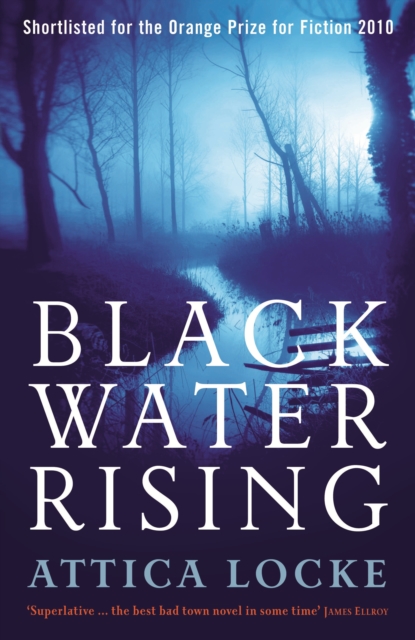 Black Water Rising, EPUB eBook