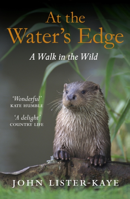 At the Water's Edge : A Walk in the Wild, EPUB eBook