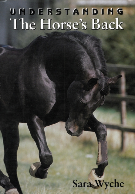 Understanding The Horse's Back, EPUB eBook