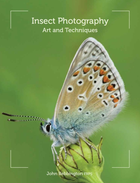 Insect Photography, EPUB eBook