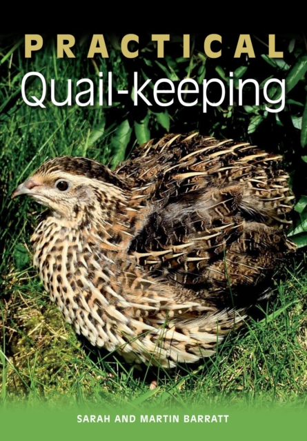 Practical Quail-keeping, EPUB eBook