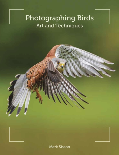 Photographing Birds : Art and Techniques, Paperback / softback Book