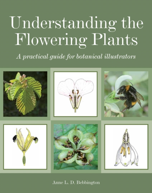 Understanding the Flowering Plants, EPUB eBook