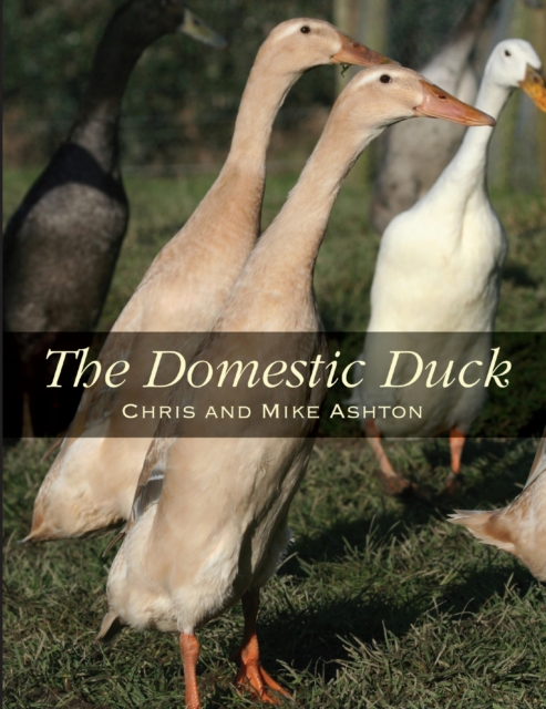 Domestic Duck, EPUB eBook