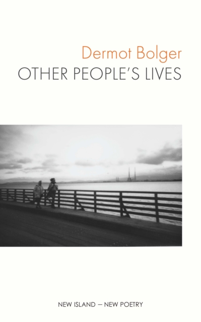 Other People's Lives, EPUB eBook