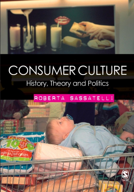 Consumer Culture : History, Theory and Politics, PDF eBook