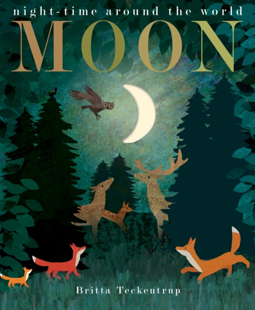 Moon : night-time around the world, Paperback / softback Book