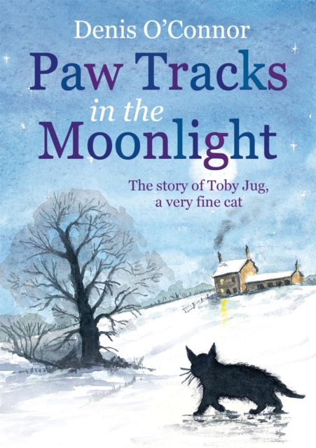 Paw Tracks in the Moonlight, Paperback / softback Book