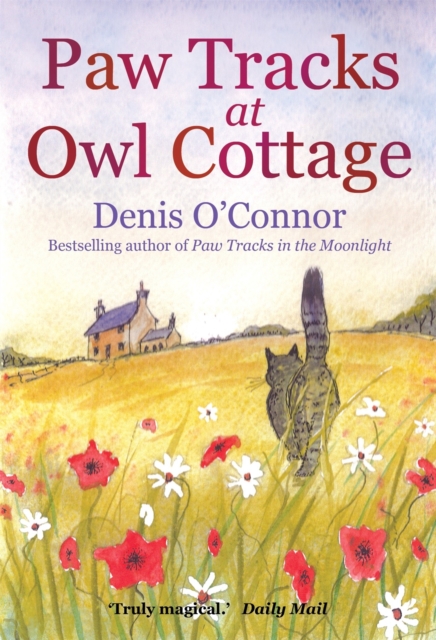 Paw Tracks at Owl Cottage, Paperback / softback Book