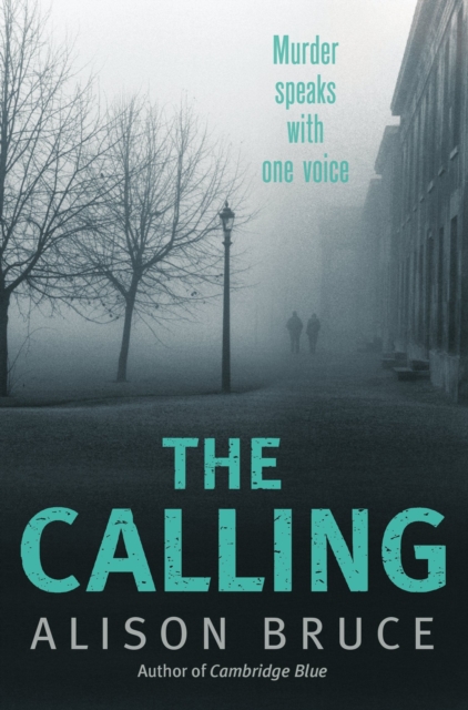 The Calling : Book 2 of the Darkness Rising Series, EPUB eBook