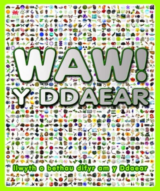 Waw! y Ddaear, EPUB eBook