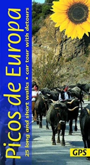 Picos de Europa Guide: 25 long and short walks with detailed maps and GPS; car tour with pull-out map, Paperback / softback Book