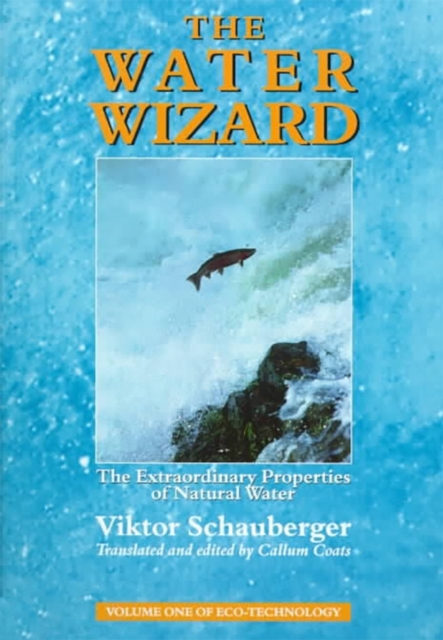 The Water Wizard : The Extraordinary Properties of Natural Water, Paperback / softback Book