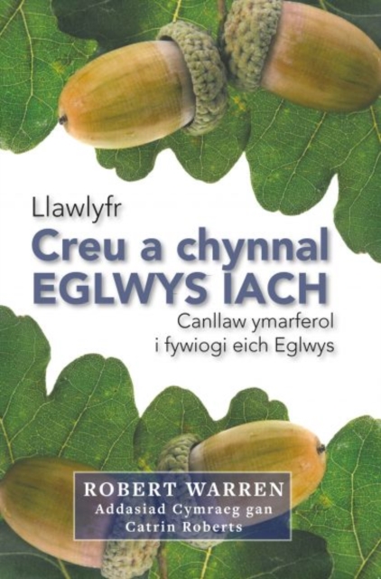 Creu a Chynnal Eglwys Iach, Paperback / softback Book