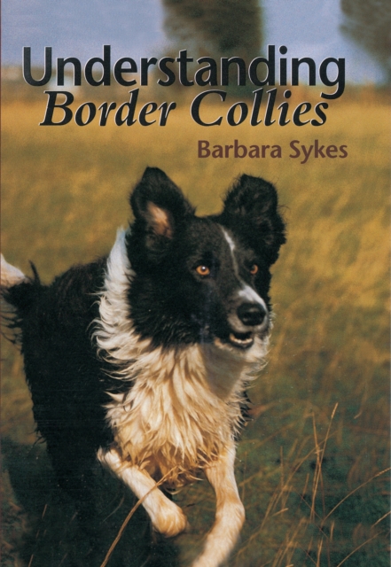 Understanding Border Collies, Hardback Book