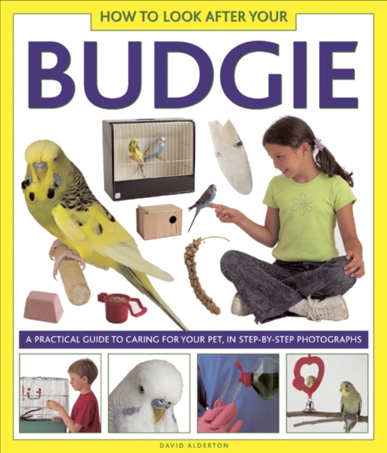 How to Look After Your Budgie, Hardback Book