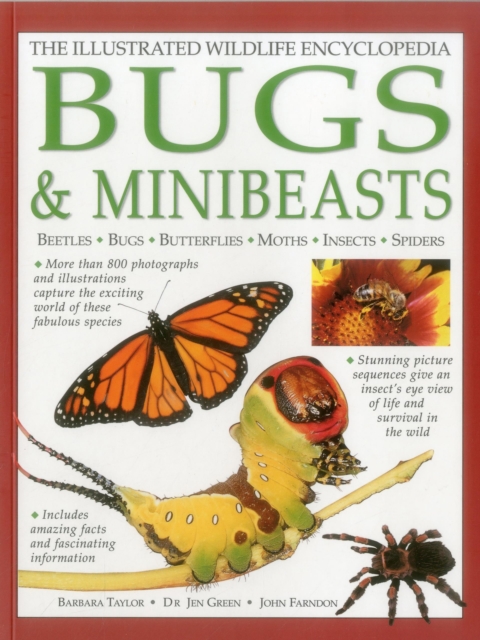 Illustrated Wildlife Encyclopedia: Bugs & Minibeasts, Hardback Book