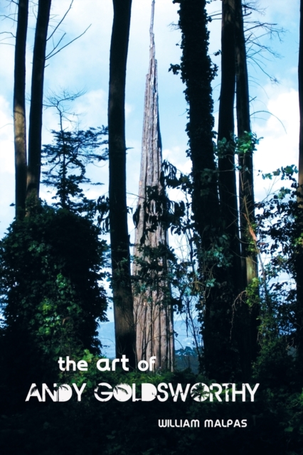 THE Art of Andy Goldsworthy, Paperback / softback Book