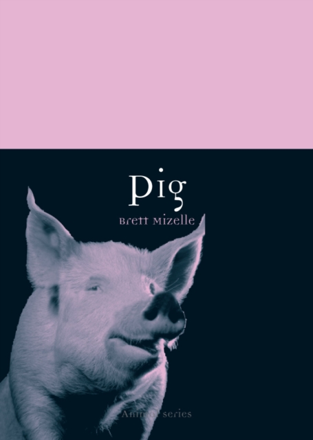 Pig, EPUB eBook