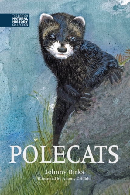 Polecats, Hardback Book
