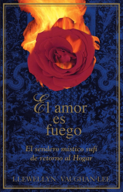 amor es fuego, PDF eBook