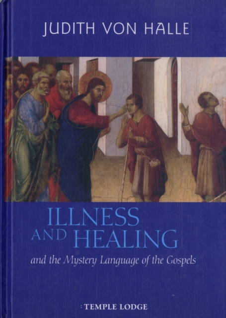 Illness and Healing and the Mystery Language of the Gospels, Hardback Book