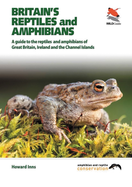 Britain`s Reptiles and Amphibians, Paperback / softback Book