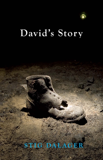 David's Story, EPUB eBook