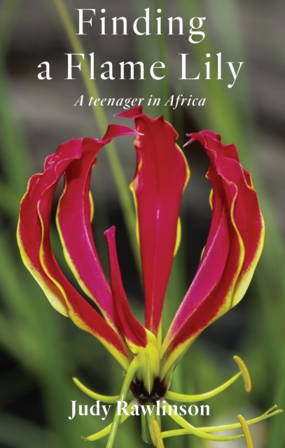 Finding A Flame Lily : A Teenager In Africa, EPUB eBook