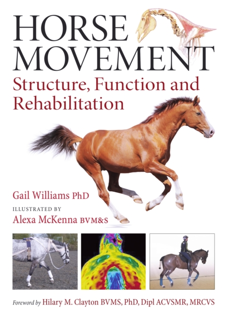 Horse Movement, EPUB eBook