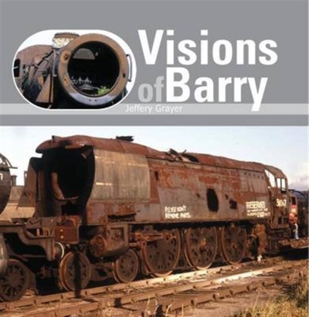 Visions of Barry, Paperback / softback Book