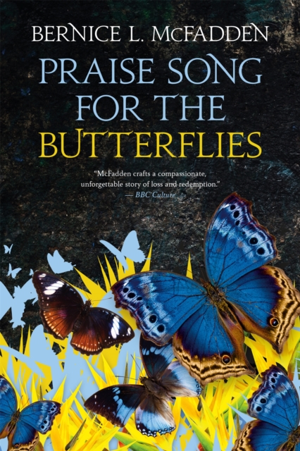 Praise Song For The Butterflies, Hardback Book