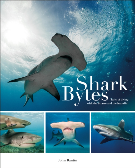 Shark Bytes, EPUB eBook