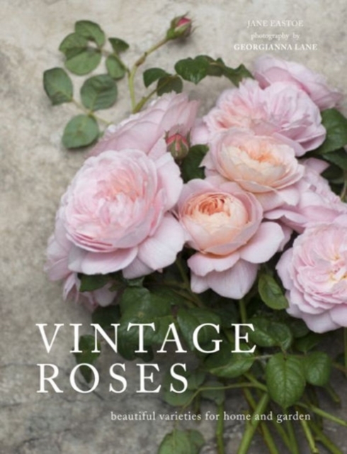 Vintage Roses : Beautiful varieties for home and garden, Hardback Book