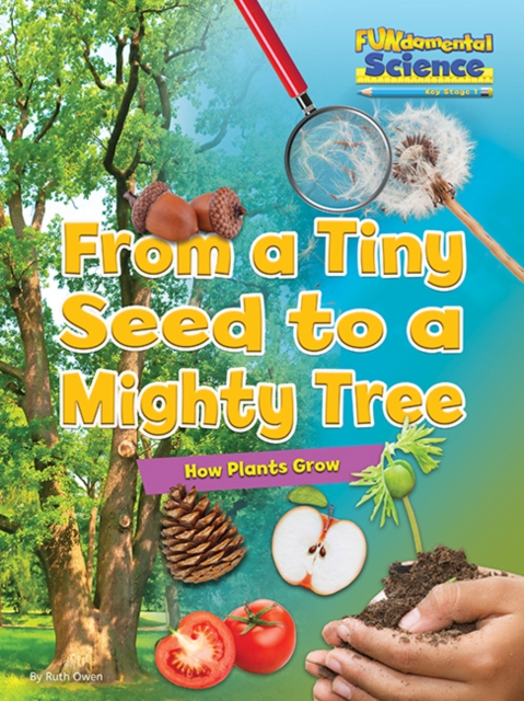 From a Tiny Seed to a Mighty Tree : How Plants Grow, Paperback / softback Book
