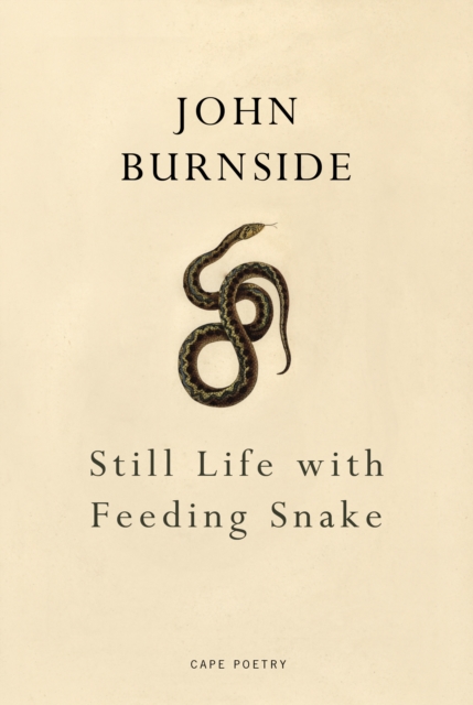 Still Life with Feeding Snake, Paperback / softback Book