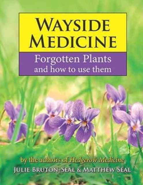 Wayside Medicine : Forgotten Plants and how to use them, Hardback Book