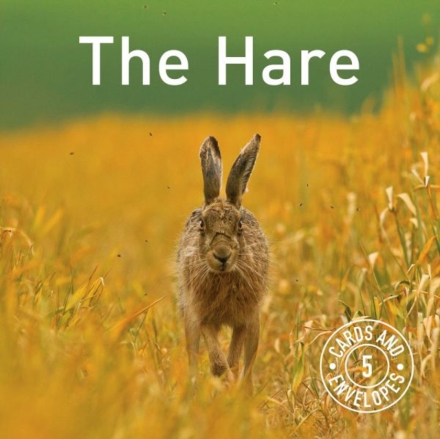 Hare Notepack, The, Record book Book